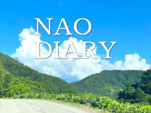 パーフェクト ブログ ™ | NAO DIARY 想い出の日記